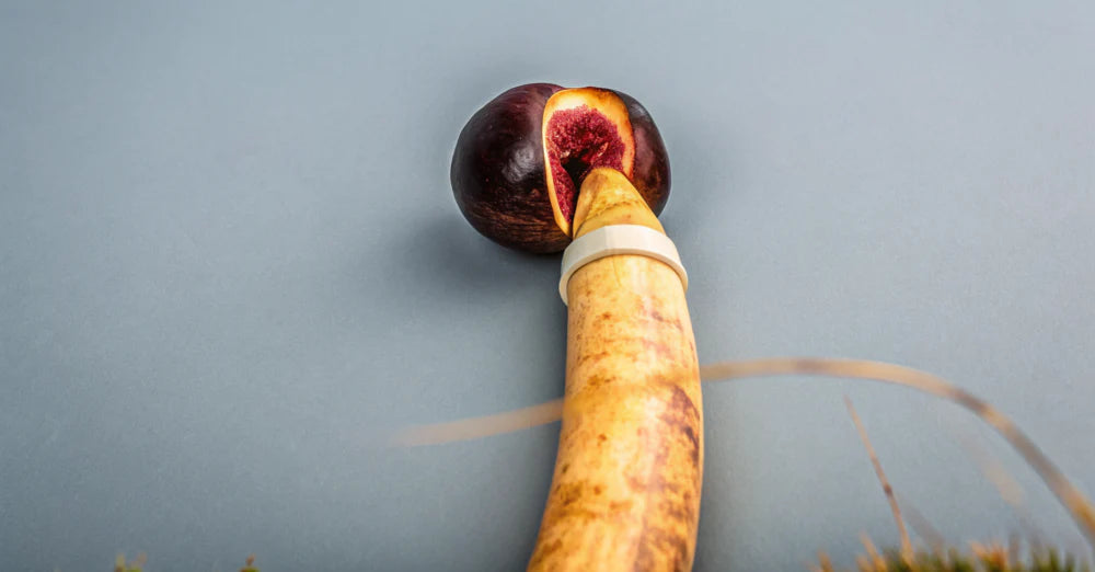 Anal Sex Education: Complete Anal 101 Guide for Beginners