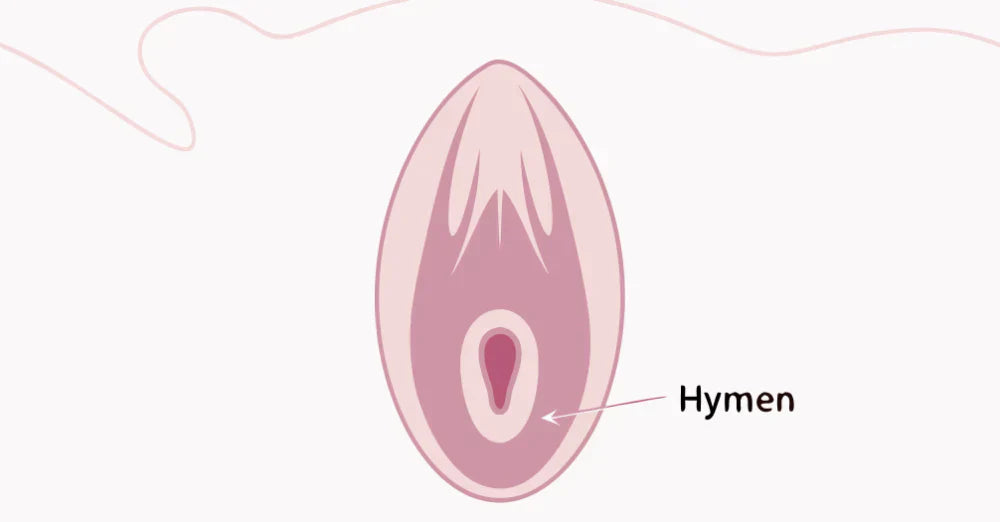 What is a Hymen? Everything You Need to Know