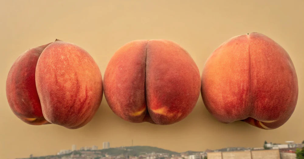 Backdoor Sex: Beginner's Guide to Comfort & Safety