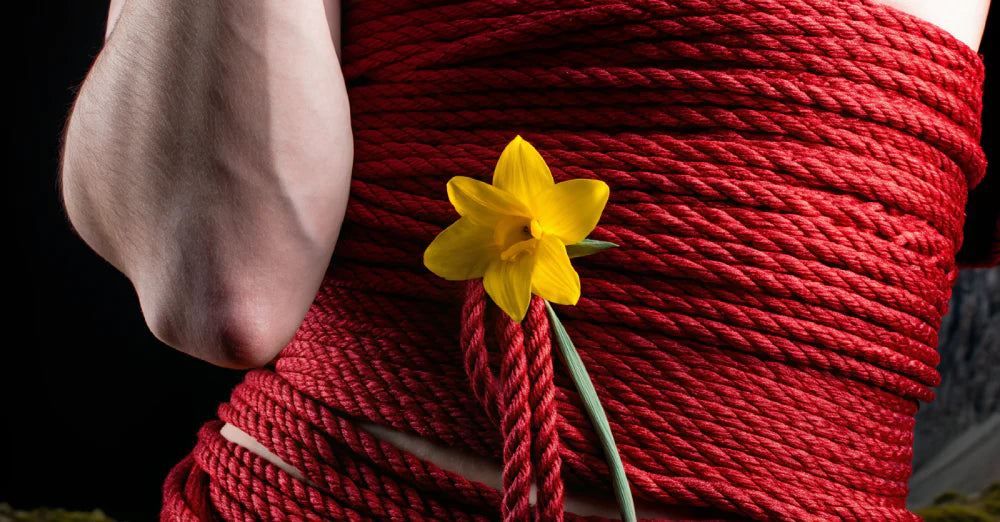 What Is Breast Bondage? Safe Guide to Breast BDSM