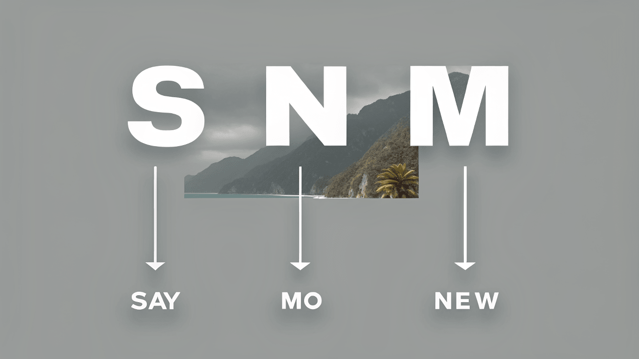 What Does SNM Mean? - Jissbon