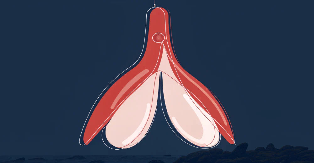 Best Way to Stimulate Clitoris: Complete Guide to Clitoral Pleasure Techniques