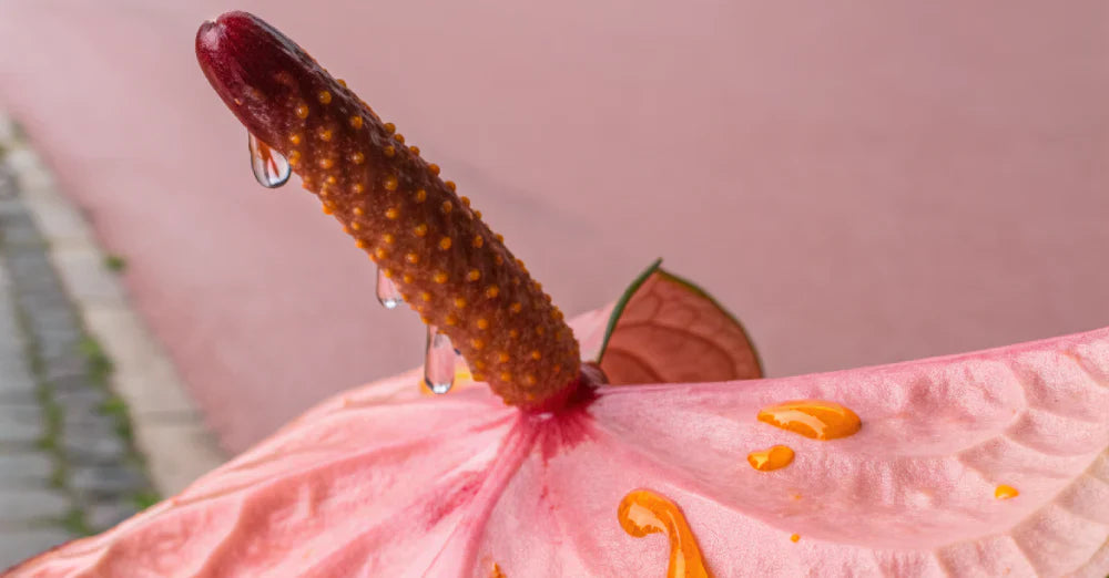 What Is the A Spot: Your Guide to Deeper Pleasure