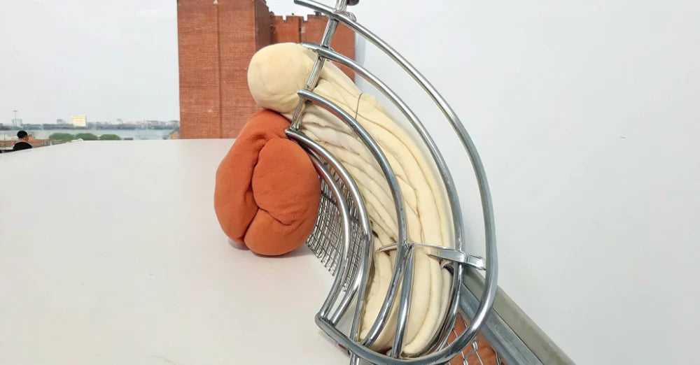 How to Put on a Cock Cage: A Beginner's Guide to Safe and Comfortable Use