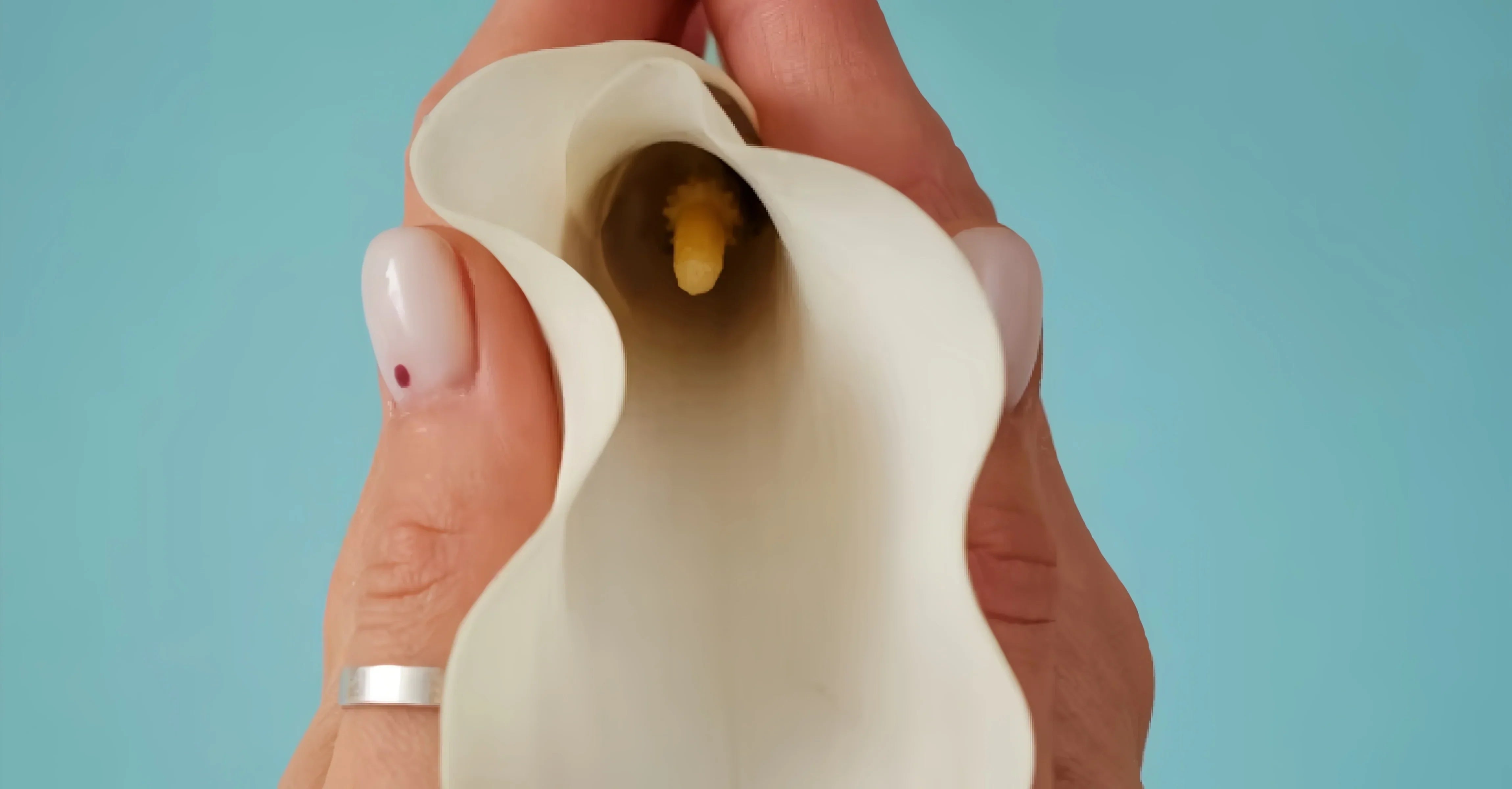 Female Perineum Stimulation: How to Unlock New Pleasure Points Safely and Effectively
