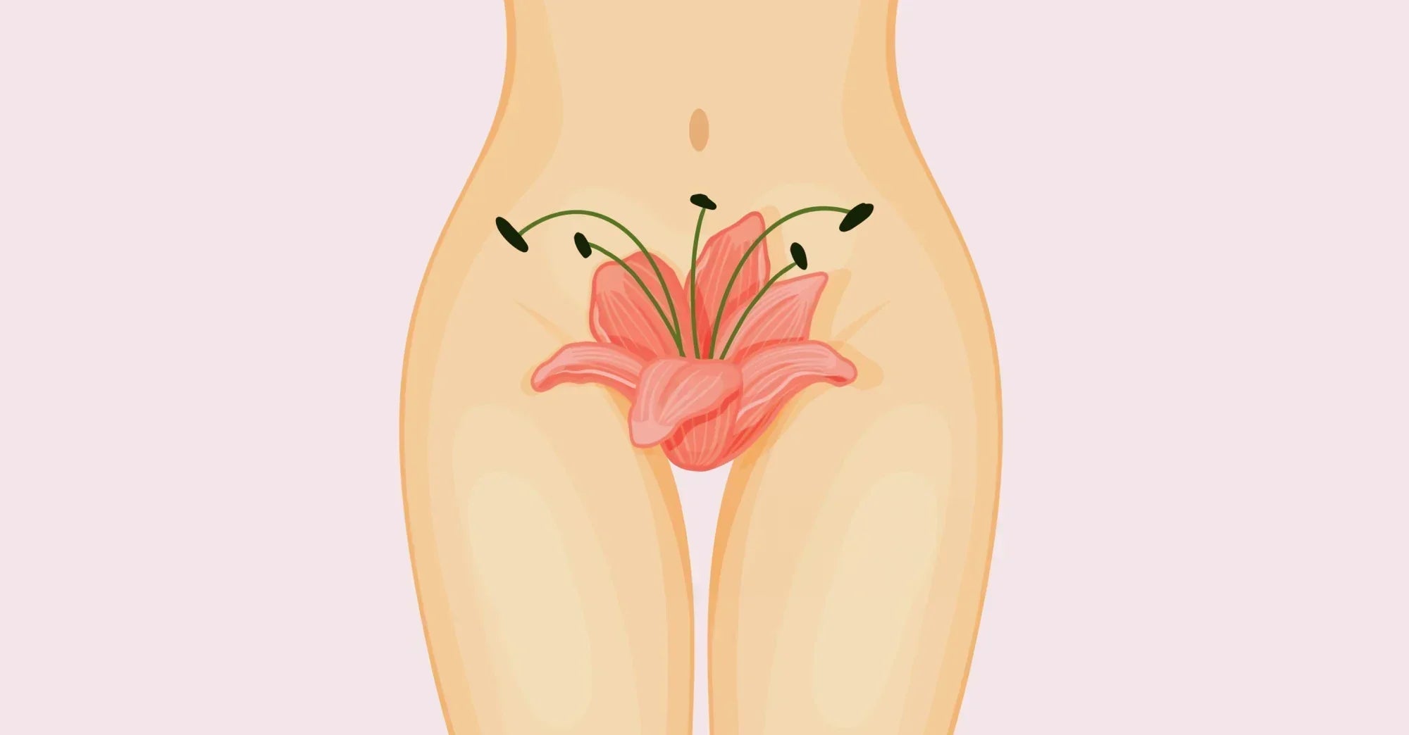 How Common Is Clitoral Atrophy? Causes, Symptoms & Treatment