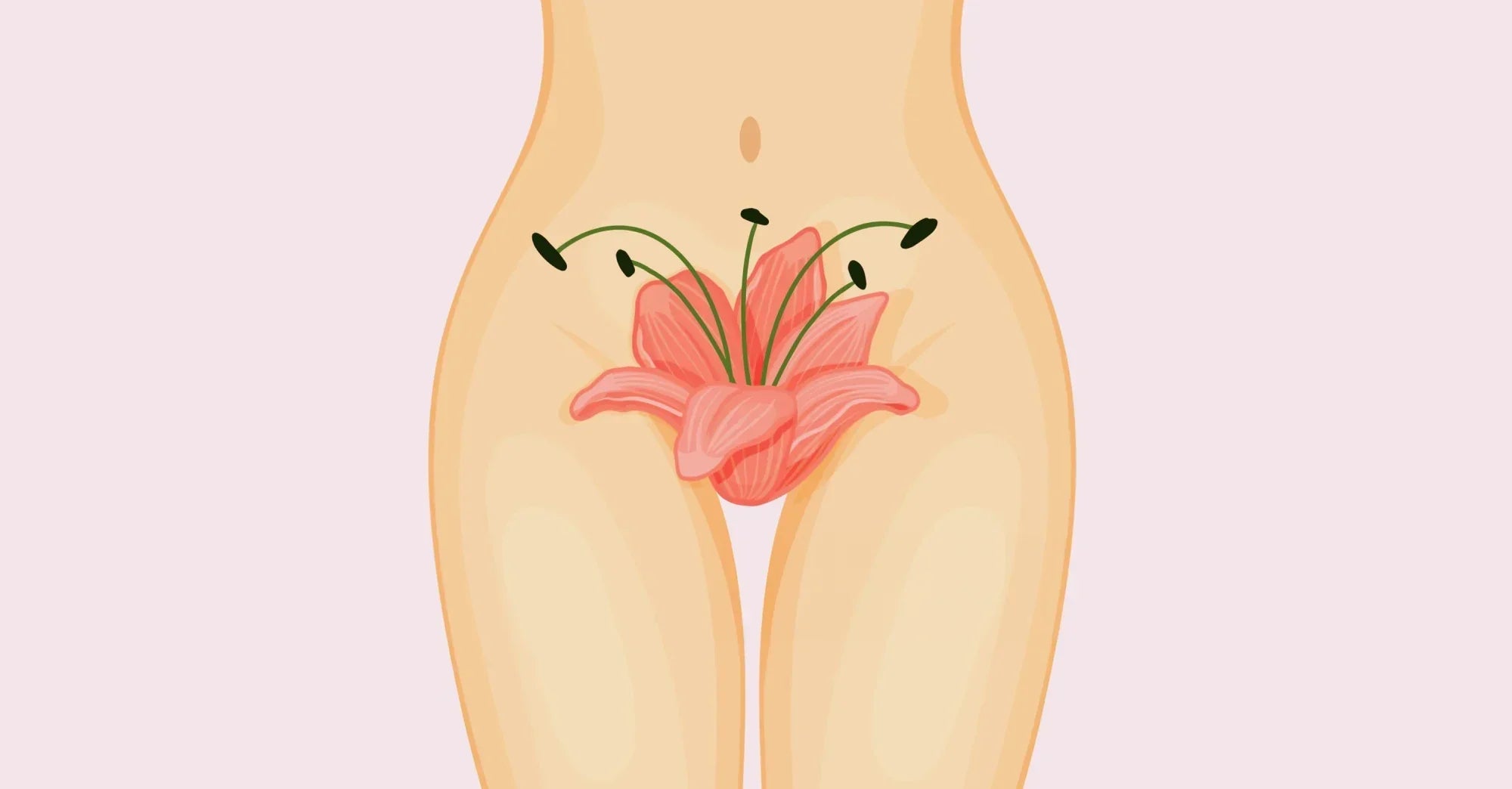 How Common Is Clitoral Atrophy? Causes, Symptoms & Treatment