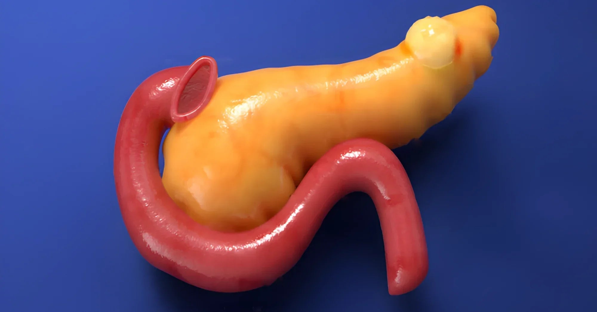 Can Clitoral Atrophy Be Reversed? Causes, Symptoms & Treatment