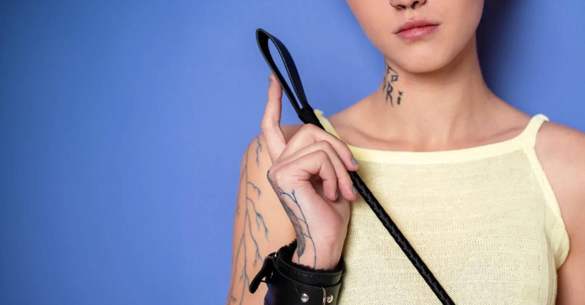 Whip for Sex: Types, Safety & Beginner BDSM Guide