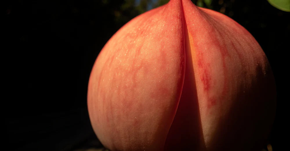 How to Give a Rim Job: Your Complete Guide to Analingus