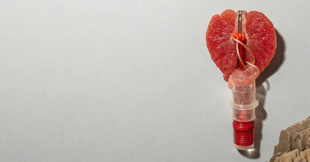 How to Apply Lube: A Complete Guide for Better Intimacy