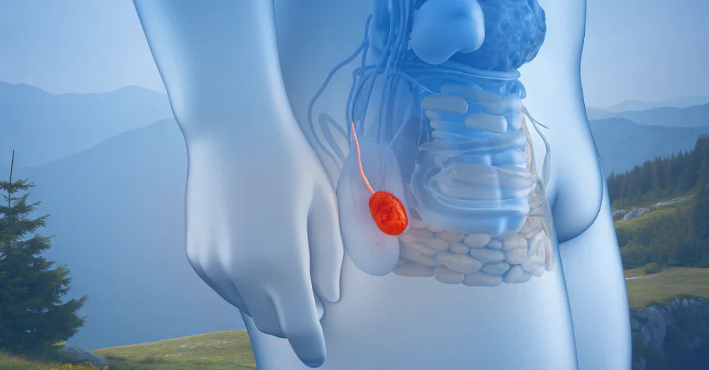 P Spot Meaning: Complete Prostate Pleasure Guide