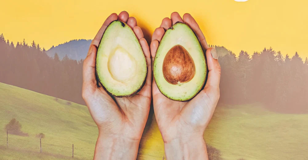 How to Play with Testicles: Complete Pleasure Guide